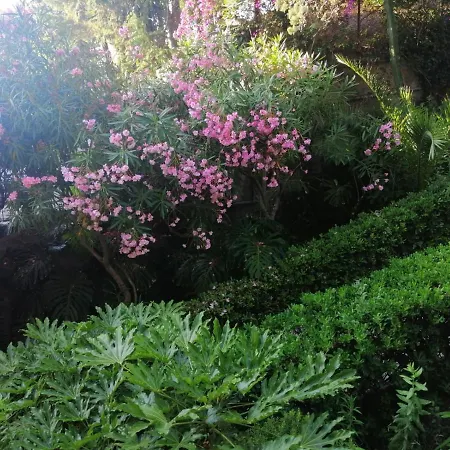 Il Gioiello Nel Parco - * San Remo